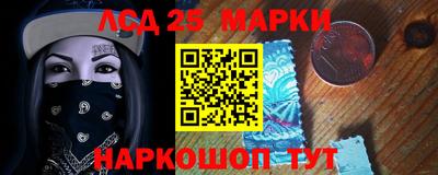 spice Заволжье