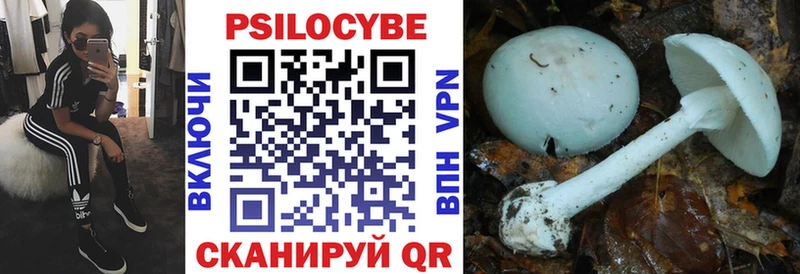 продажа наркотиков  Реутов  Псилоцибиновые грибы Cubensis 