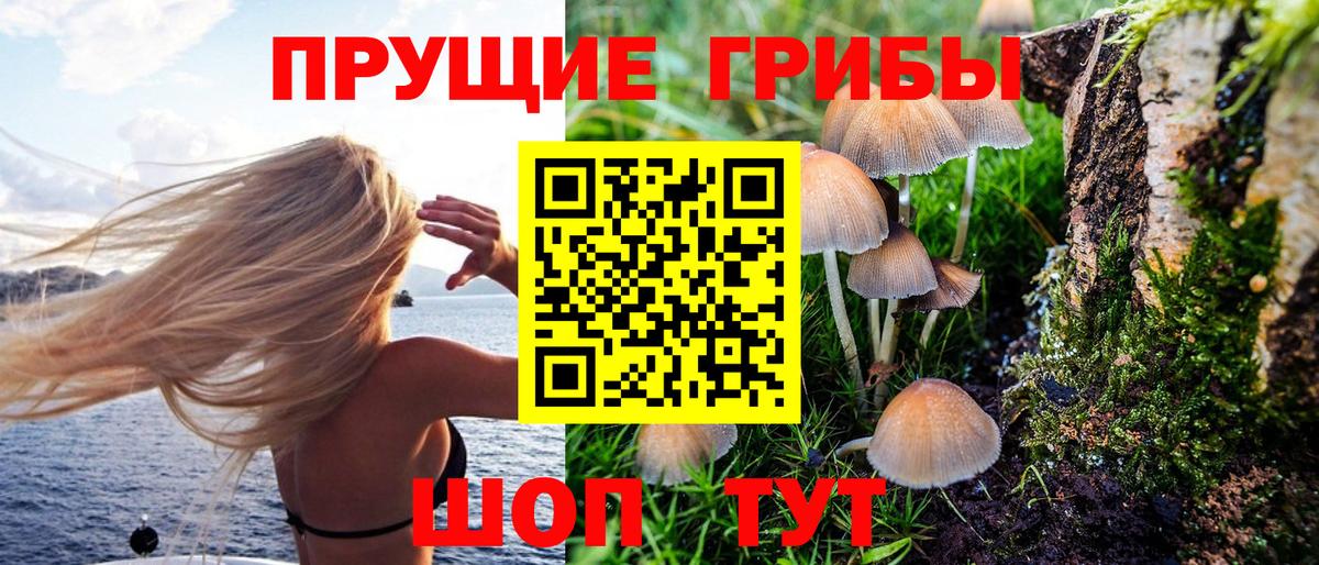 Псилоцибиновые грибы мицелий Реутов